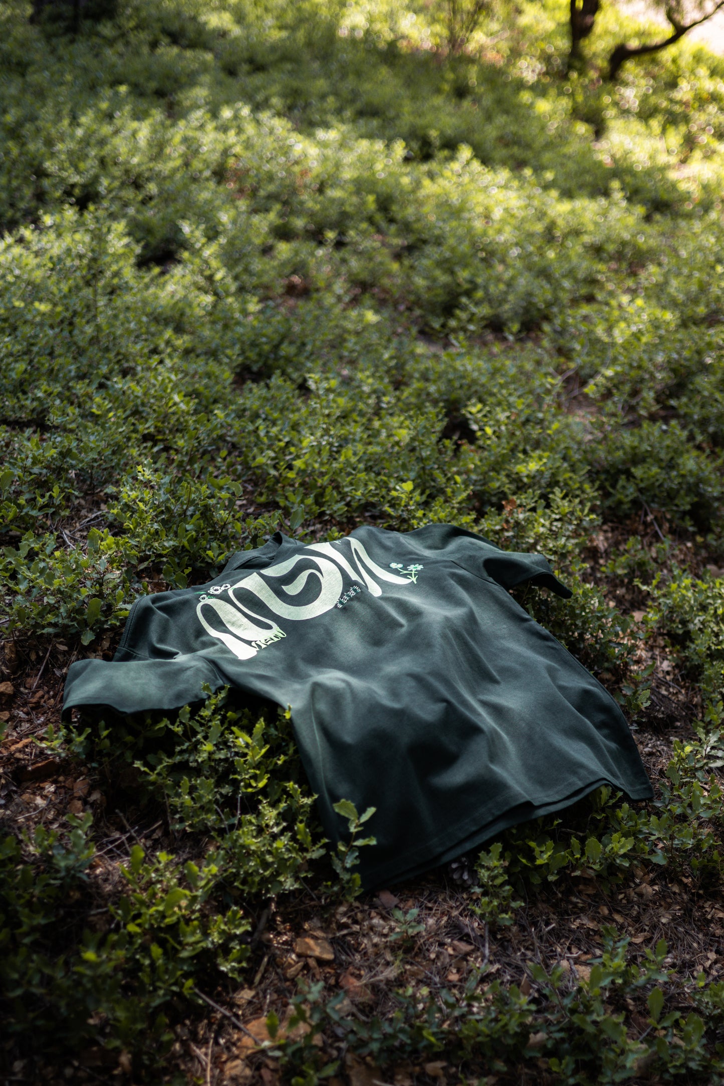 GRASS v2