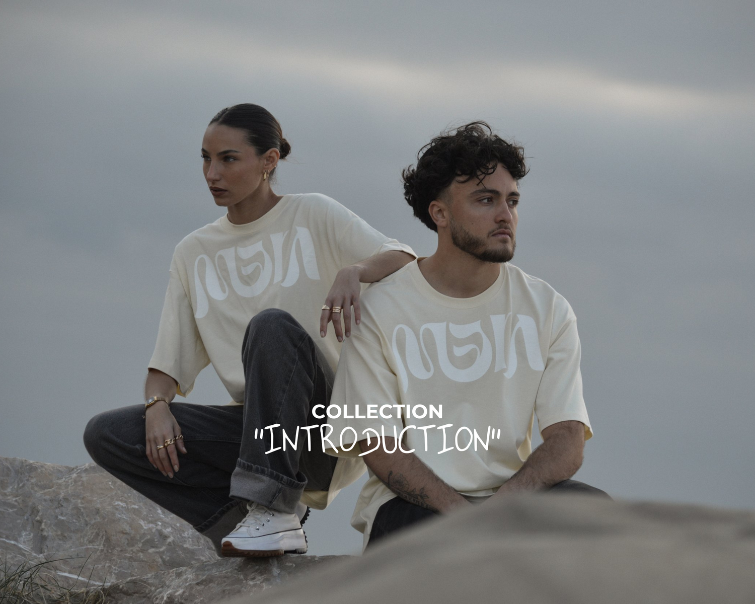 [INTRODUCTION]