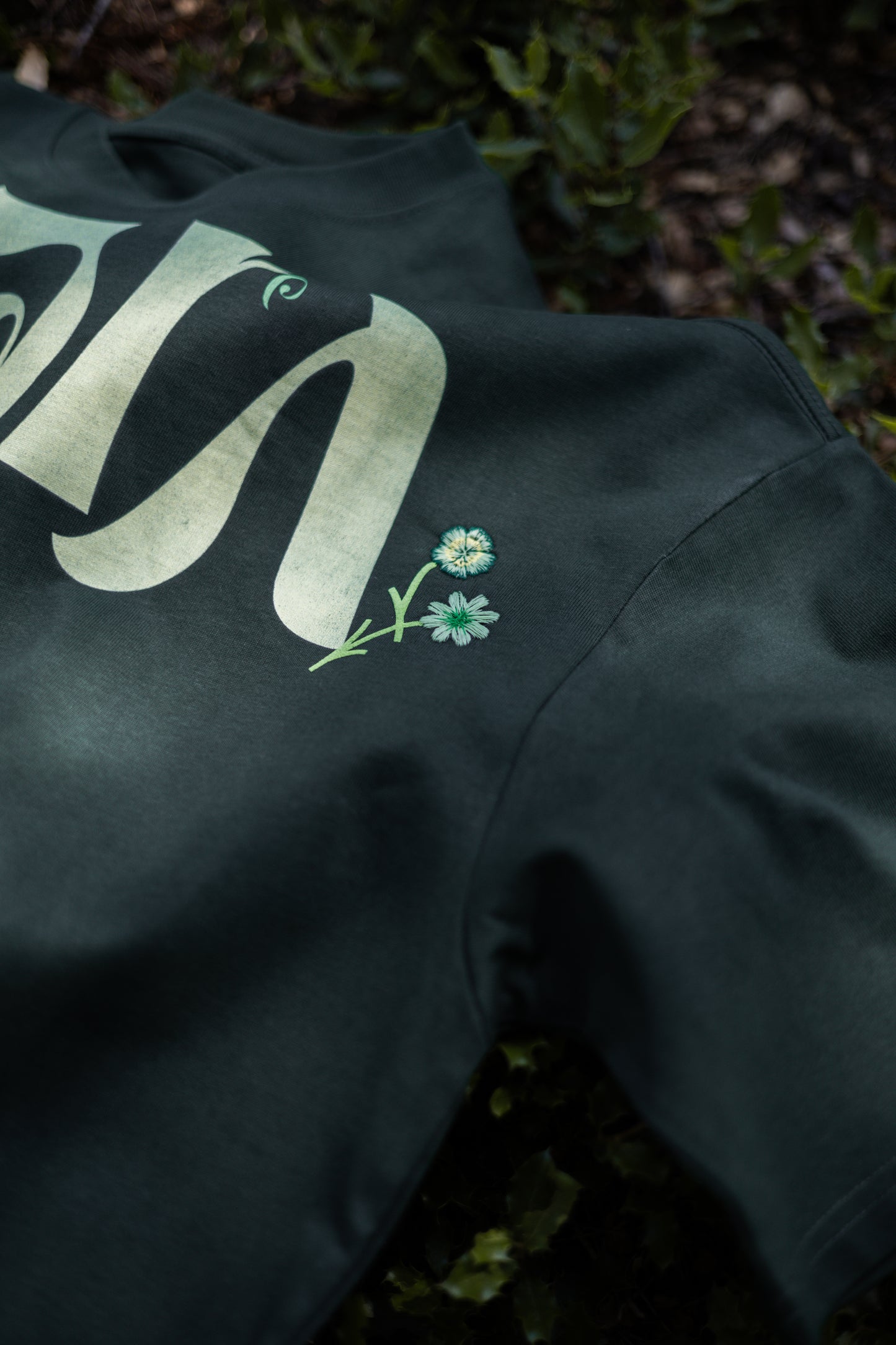 GRASS v2