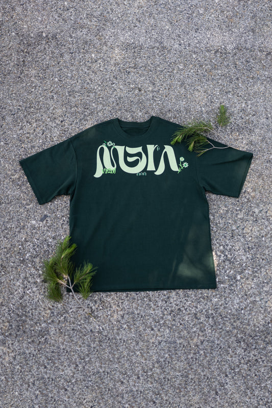 GRASS v2